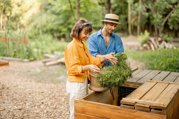 Quels sont les meilleurs moyens de créer un compost urbain sans odeurs ?